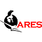 Ares – Profesjonalne repliki broni dla pasjonatów airsoftu